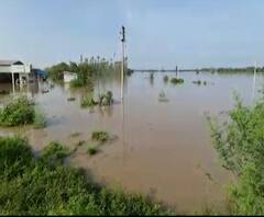 Gadchiroli Flood | गडचिरोलीतली पूरस्थिती बिकट; गडचिरोली-चंद्रपूर मार्ग बंद होण्याच्या स्थितीत
