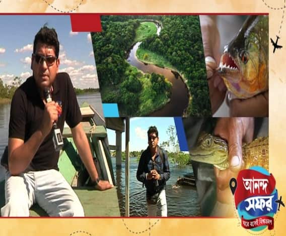 আমাজনের গভীর জঙ্গলে জীবনের অস্তিত্ব কীভাবে টিকে থাকে, দেখুন আনন্দ-সফর