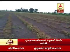 જૂનાગઢના ભેંસાણમાં ખેડૂતોની સ્થિતિ કફોડી બની, કિસાન સહાય યોજનામાં ફેરફારની ભારતીય કિસાન સંઘની રજૂઆત