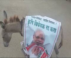 Rural News | माझं गाव माझा जिल्हा | राज्याच्या कानाकोपऱ्यातील बातम्यांचा आढावा 