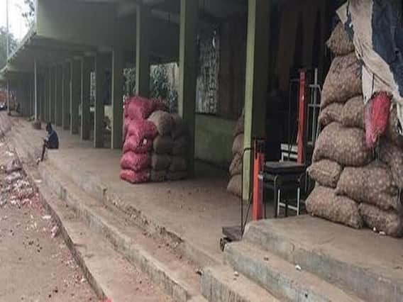 ડુંગળીની નિકાસ પર પ્રતિબંધ મુકાતા ખેડૂતો-વેપારીઓમાં આક્રોશ, જુઓ વીડિયો