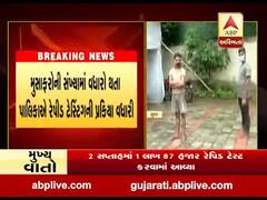 સુરતમાં મુસાફરોની સંખ્યામાં વધારો થતા પાલિકાએ રેપીડ ટેસ્ટિંગની પ્રક્રિયા વધારી, જુઓ વીડિયો