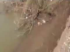 પોરબંંદરઃ ભાદરના પાણીથી ખેતી સાથે રસ્તા ધોવાયા, થેપડા ગામમાં ખેડૂતોની સ્થિતિ બની કફોડી