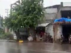 ભાવનગરઃ મહુવા અને જેસર પંથકમાં વીજળીના કડાકા સાથે પડ્યો ધોધમાર વરસાદ, જુઓ વીડિયો