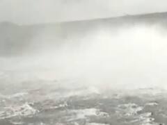 અમરેલી: રાજુલાના ગ્રામ્ય વિસ્તારોમાં ખાબક્યો 2 ઈંચ વરસાદ, જુઓ વીડિયો