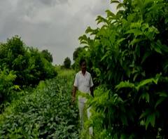 शेती जगत | शेती क्षेत्रातील घडामोडींचा वेगवान आढावा | गावागावात काय आहे शेतीची परिस्थिती? 9 सप्टेंबर 2020