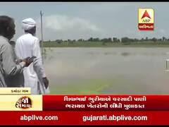 બનાસકાંઠાઃ કોગ્રેસના ધારાસભ્ય શિવાભાઇ ભુરીયાએ વરસાદી પાણી ભરાયેલ ખેતરોની લીધી મુલાકાત