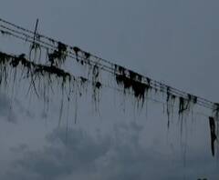 Special Report | चंद्रपुरात पुरात हजारो हेक्टर जमिनी पाण्याखाली, अनेकांचे संसार वाहून गेले