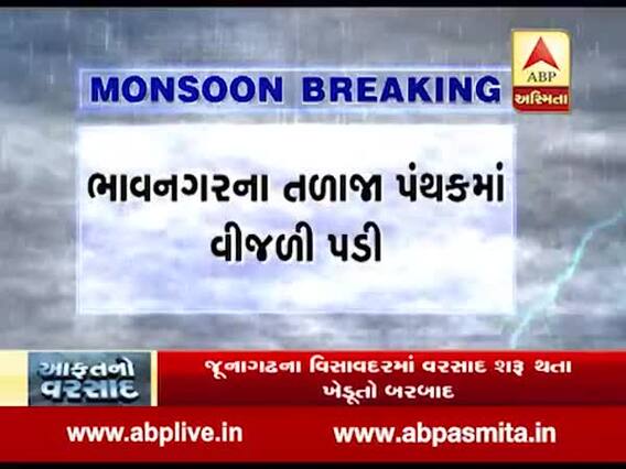 ભાવનગરના તળાજા પંથકમાં વીજળી પડી, ત્રણ ભેંસોના મોત