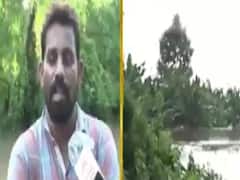 નર્મદાઃ સારા પાકની આશા પર ફર્યા પૂરના પાણી, ખેતીવાડી વિભાગે સર્વેની કામગીરી હાથ ધરી