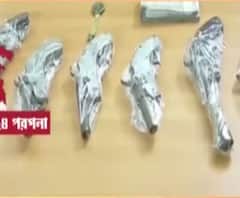 বেআইনি অস্ত্র কারবারের হদিশ বারুইপুরে, ৬টি আগ্নেয়াস্ত্র-সহ গ্রেফতার এক