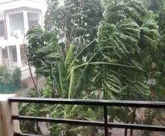 Rain Forecast | राज्यातील काही भागात आजपासून 6 सप्टेंबरपर्यंत मुसळधार पावसाचा अंदाज 