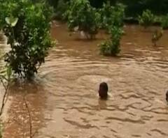 Heavy Rain | औरंगाबाद जिल्ह्यातील पाचोडमध्ये अतिवृष्टी, मोसंबीच्या बागा पाण्याखाली