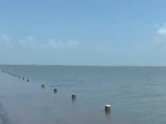 પોરબંદર: ઘેડ પંથકના કેટલાક વિસ્તારોમાં ભાદર-ઓઝતના પાણીનો નીકાલ ન થતાં ખેડૂતો પરેશાન