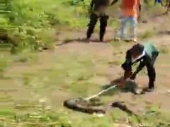 અરવલ્લીના ભિલોડામાં 13 ફૂટ લાંબો અજગર સોસાયટીમાં ઘૂસી જતા ફફડાટ, કઇ રીતે પકડ્યો અજગરને, જુઓ વીડિયો 