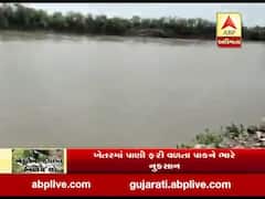 પોરબંદરના કુતિયાણાના ચૌટા ગામે ભાદરના પાણીએ મચાવી તબાહી, પાકને ભારે નુકસાન