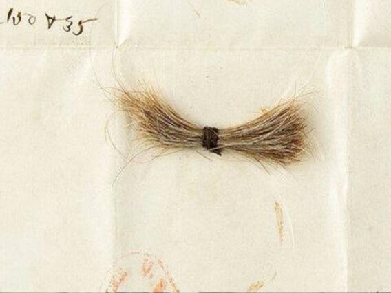 US: Abraham Lincoln's hair-lock up for auction 