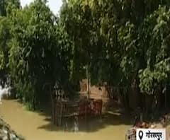 नेपाल और पहाड़ों की बारिश की वजह से बाढ़ का खतरा बरकरार| Poorab Paschim |ABPGanga