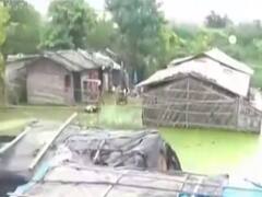 Bihar: Begusarai locals jam NH31 over flood situation