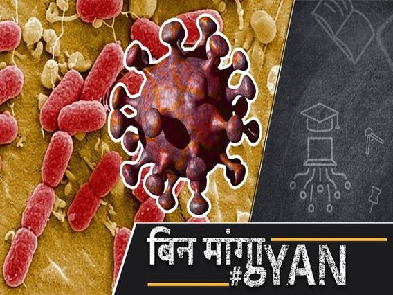 A New Disease Brucellosis, Has Spread In China after Corona| ABP Uncut