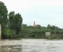 Pandharpur Flood | पंढरपूर, सांगोला, माळशिरसमध्ये पावसाचा कहर, द्राक्ष, डाळिंबाच्या बागा उध्वस्त
