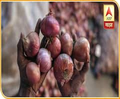 Onion Export Ban | कांद्याच्या निर्यातबंदीमुळे काय परिणाम होणार? कांदा उत्पादकांच्या डोळ्यात पाणी...