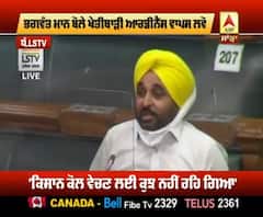 ਭਗਵੰਤ ਮਾਨ ਨੇ ਲੋਕ ਸਭਾ 'ਚ ਆਰਡੀਨੈਂਸ ਦੀ ਕਿਵੇਂ ਕੀਤੀ ਖਿਲਾਫ਼ਤ?