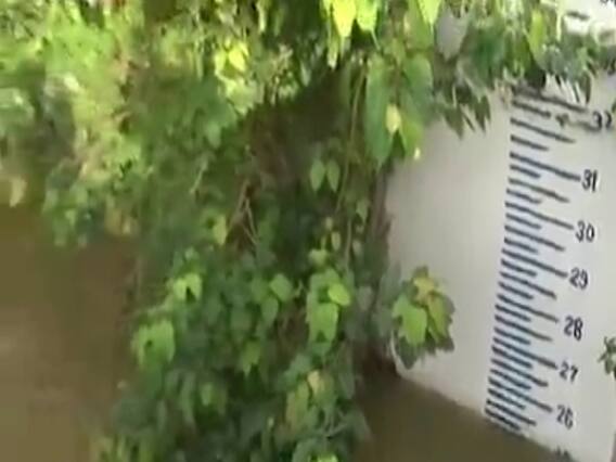 વડોદરા: ઉપરવાસના વરસાદના કારણે વિશ્વામિત્રી નદી ભયજનક સપાટી નજીક, જુઓ વીડિયો 