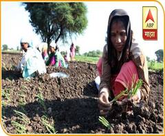 Onion Farming Struggle | कांदा पिकवायला लागणारे कष्ट बघा, शेतकऱ्याचं मरण हेच का केंद्र सरकारचं धोरण?