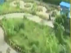 અમદાવાદમાં સુભાષ બ્રિજ RTO ખાતે ભારે વાહનો માટે નથી કોઈ ટ્રાયલ ટ્રેક, જુઓ વીડિયો