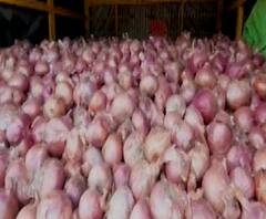 Onion Export Ban | केंद्राकडून कांदा निर्यातबंदीचा निर्णय, देशभर निदर्शन