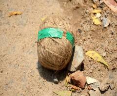 আজ বাংলায়: কামারহাটিতে বোমা ফেটে মৃত ২, আহত ১, সঙ্গে আরও খবর 