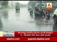 વડોદરાના કેટલાક વિસ્તારોમાં ભારે પવન સાથે વરસાદ, જુઓ વીડિયો 