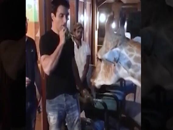 Sonu Sood's old video with a giraffe goes viral 