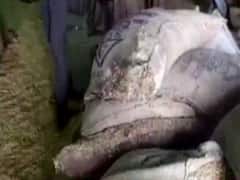 MP: 2-year-old 10 thousand quintal wheat sent to PDS shops for distribution