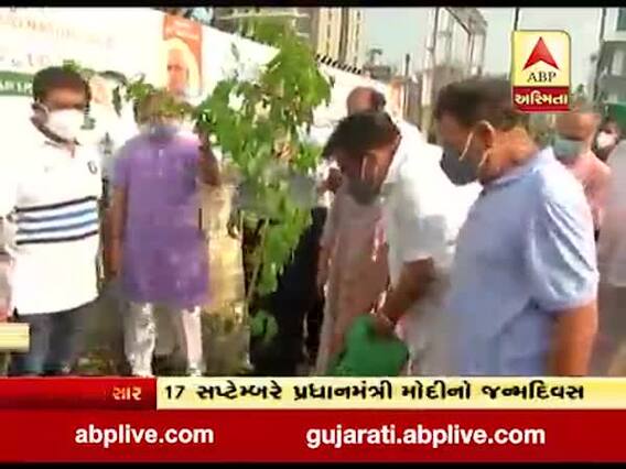 17 સપ્ટેમ્બરે પ્રધાનમંત્રી મોદીનો જન્મદિવસ, સુરતમાં વૃક્ષારોપણ કાર્યક્રમનું આયોજન, જુઓ વીડિયો