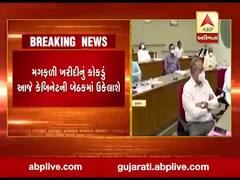 મગફળી ખરીદીનું કોકડું આજે કેબિનેટની બેઠકમાં ઉકેલાશે, જુઓ વીડિયો