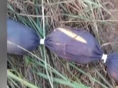 फटाफट देखिए दिनभर की बड़ी खबरें