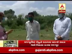 બનાસકાંઠાના લાખણી ગામના ખેડૂતોના પાકને મોટું નુકસાન, જુઓ વીડિયો