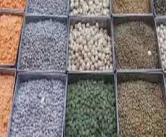 Essential Commodities Act: আলু-পেঁয়াজের দাম আরও বাড়বে, না কমবে? কালোবাজারি-মজুতদারি বাড়বে, না কি কৃষকদের লাভ হবে?