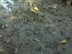 ગાંધીનગરમાં ગંદકીનું સામ્રાજ્ય, સે-21 શોપિંગ સેન્ટર પાસે પાર્કિંગમાં ગંદકી, જુઓ વીડિયો