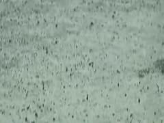 રાજ્યમાં વરસાદની વધુ એક સિસ્ટમ સક્રિય થતા પડી શકે છે ભારે વરસાદ, જુઓ વીડિયો