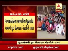 બનાસકાંઠા: લાખણીના ધુણસોલ ગામની દૂધ ઉત્પાદક મંડળીને તાળા, જુઓ વીડિયો