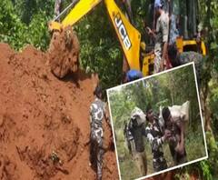 পশ্চিম মেদিনীপুরের গোয়ালতোড়ে মাটি খুঁড়ে প্রচুর বন্দুকের হদিশ! মিলল বিদ্যুতের তার, টিনের কৌটোও! 