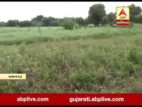 જામનગર: વાયરલ પત્રએ ખેડૂતોની મુશ્કેલી વધારી, જુઓ વીડિયો