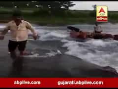 જૂનાગઢઃ વિસાવદરના ધ્રાફડ ગામ પાસે નદીના પુલ પરથી બળદગાડુ તણાયુ