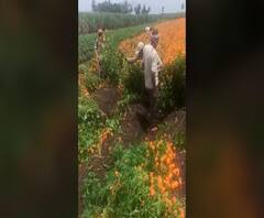 शेती जगत | शेती क्षेत्रातील घडामोडींचा वेगवान आढावा | 15 सप्टेंबर 2020