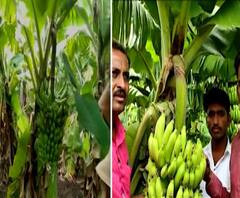 शेती जगत | शेती क्षेत्रातील घडामोडींचा वेगवान आढावा | गावागावात काय आहे शेतीची परिस्थिती? 25सप्टेंबर