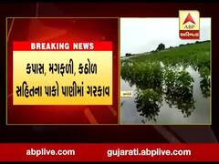 અમરેલીમાં ઠેબી ડેમના પાણીએ ખેડૂતોને કર્યા બરબાદ, સાંગાડેરી ગામના 45 ખેડૂતોની જમીન પર ફરી વળ્યું પાણી