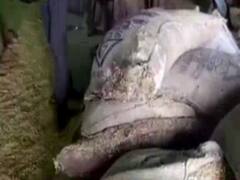 मध्य प्रदेश में सरकारी दुकानों पर बिक रहा है सड़ा अनाज ! 